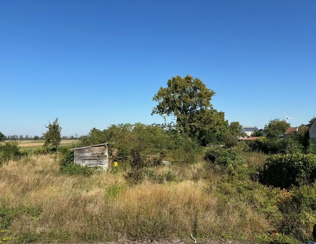Großzügiger Baugrund teilbar in bis zu 6 Bauplätze - Nähe Ebreichsdorf