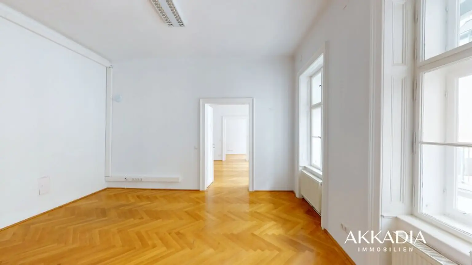 Altbaubüro mit Blick in den Resselpark
