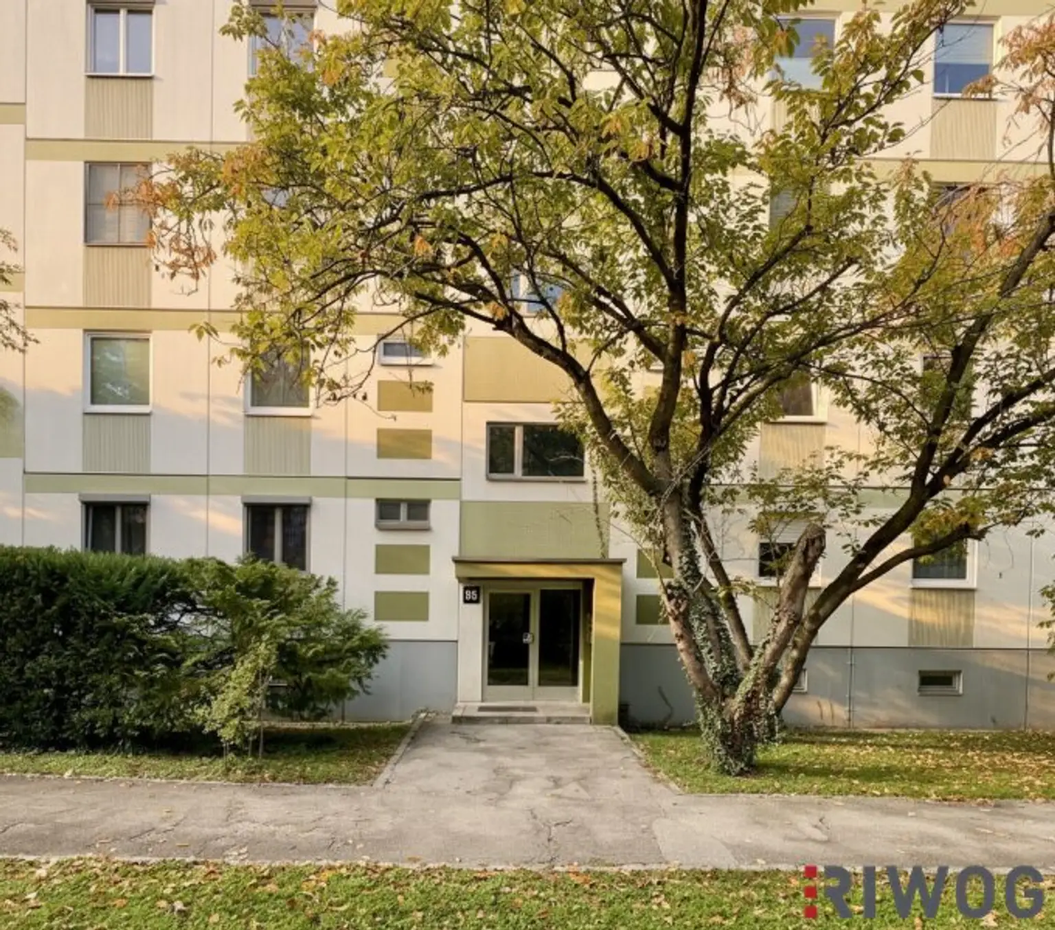 ERSTBEZUG nach Sanierung I 4 Zimmer Wohnung mit Loggia in Ruhelage I Tischler Küche mit Siemens Geräte inklusive I 360° Rundgang