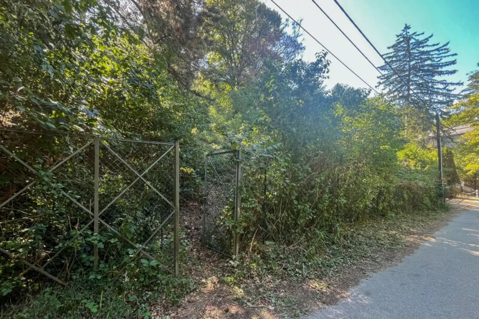 aktuelles Foto, Grundgrenze zur Privatstraße
