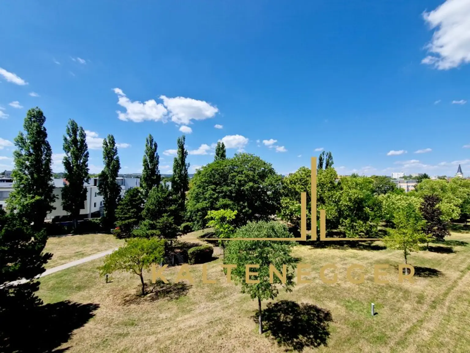 Blick von der Terrasse aus auf die grüne Landschaft