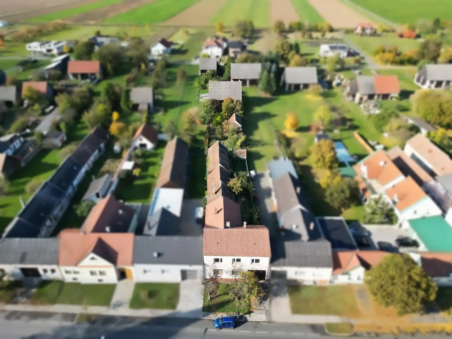 -20000434_1004114953_16227745