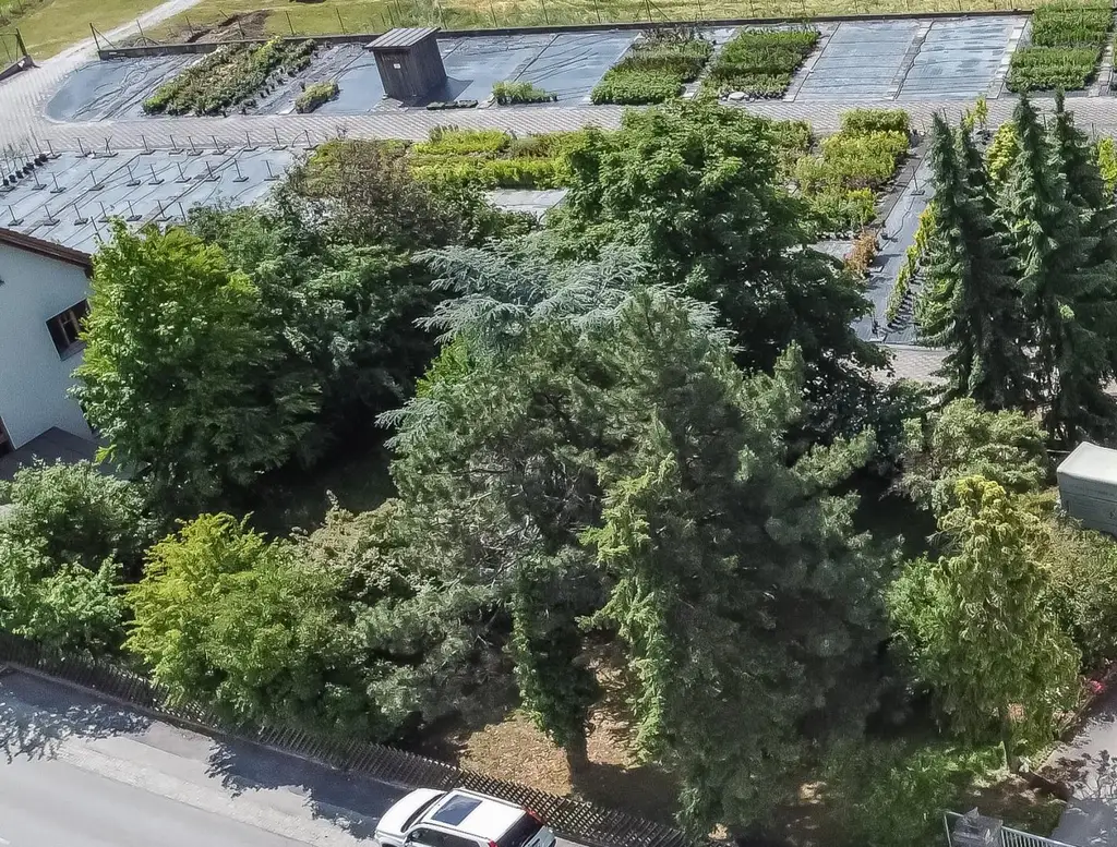 Mehrfamilienhaus - Zwei Wohneinheiten - Gewerbe möglich - großzügige Nutzflächen