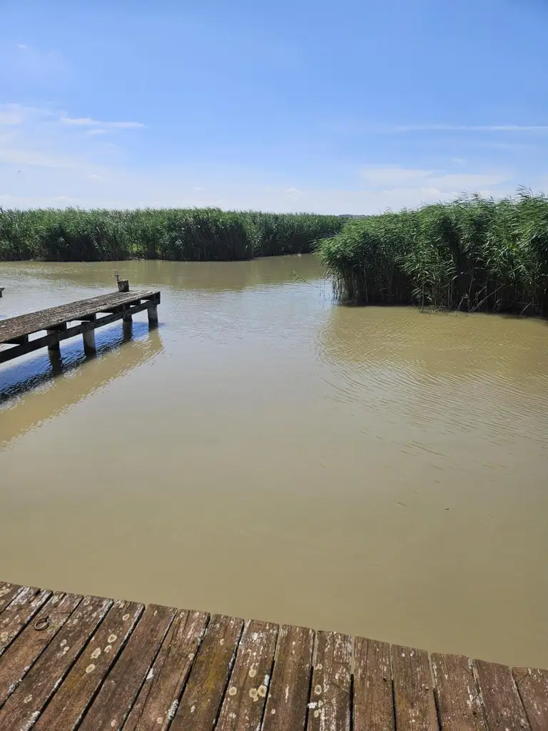 Gelegenheit - Seehütte am Neusiedlersee