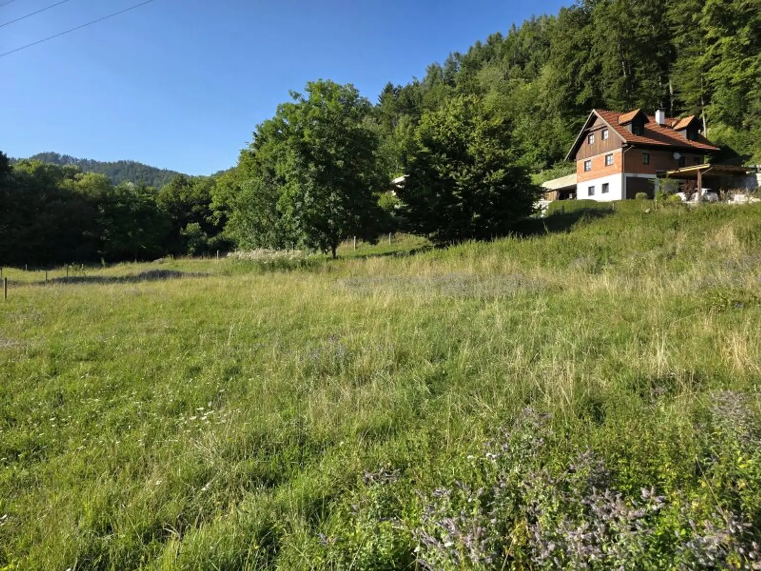 Sonniges Wohnerlebnis mit schöner Aussicht!