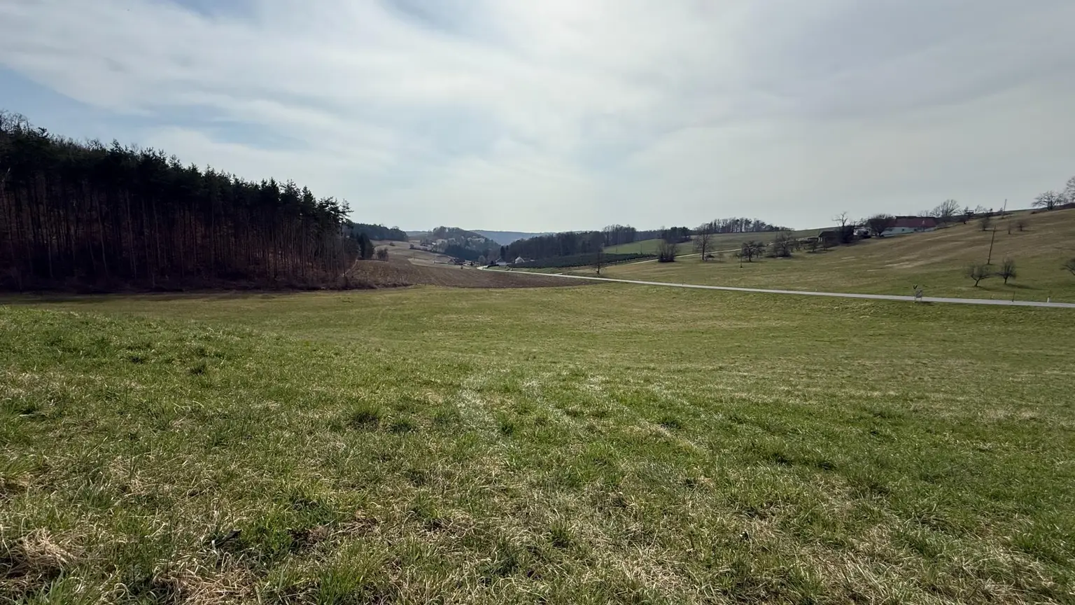 Blick Süden