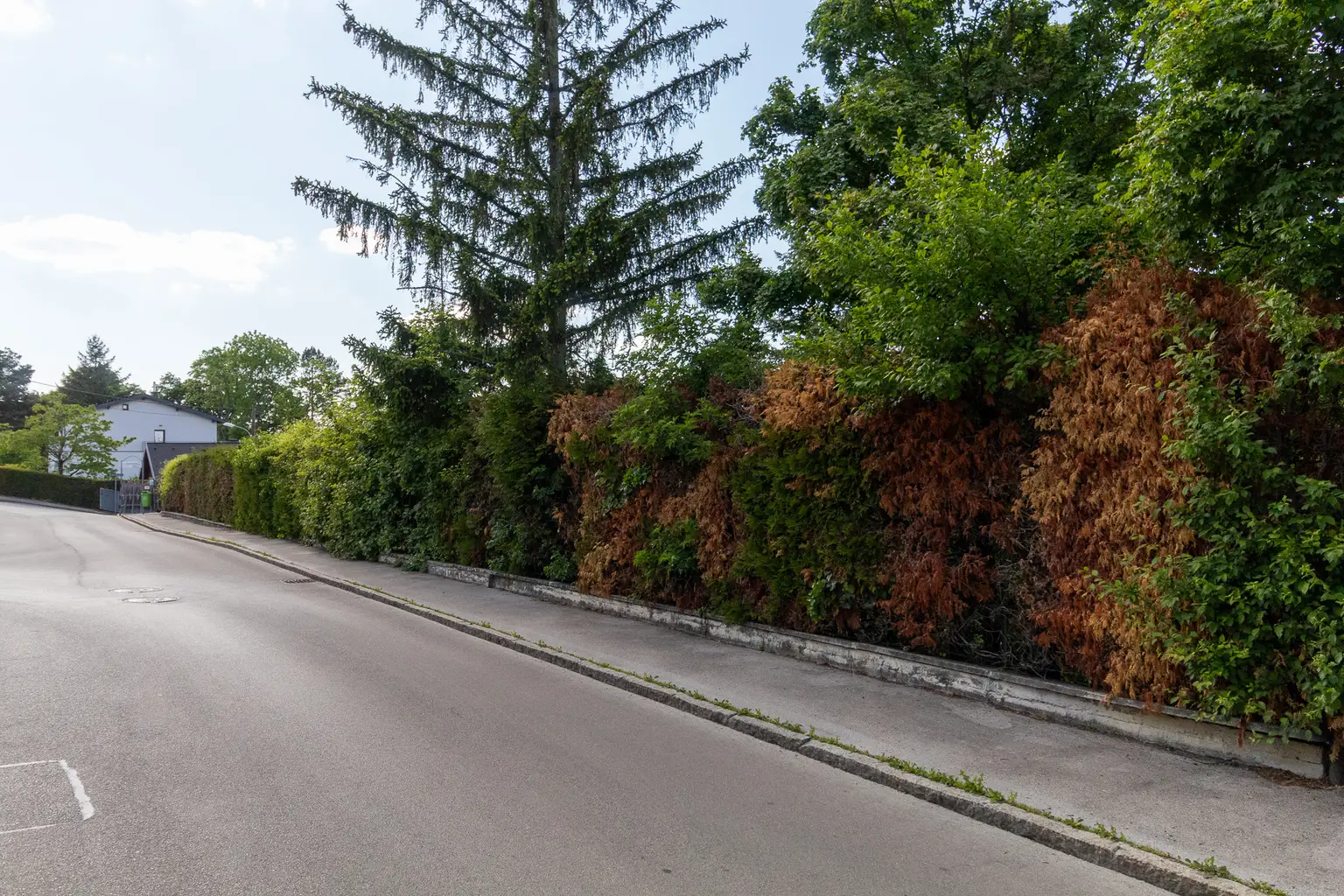 Straßenfront des Grundstückes