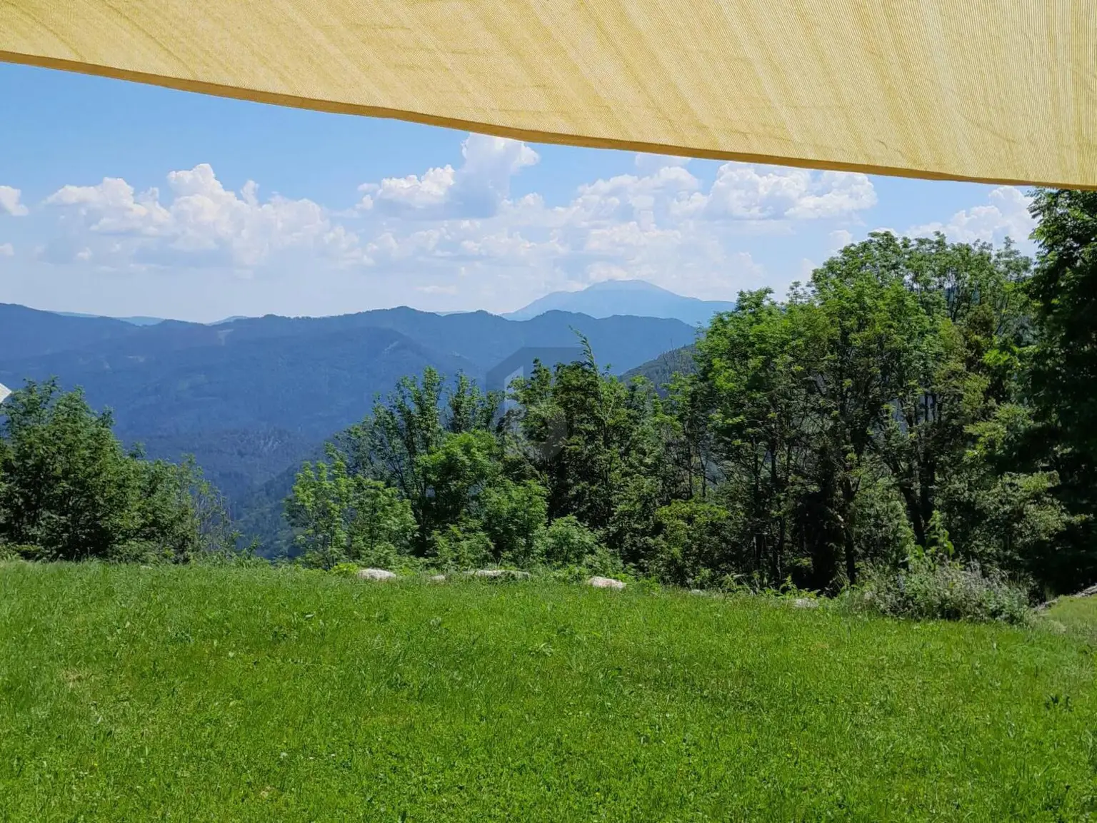 image 27350 1499 20267181926631