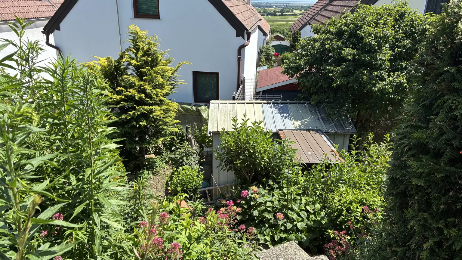 Garten1