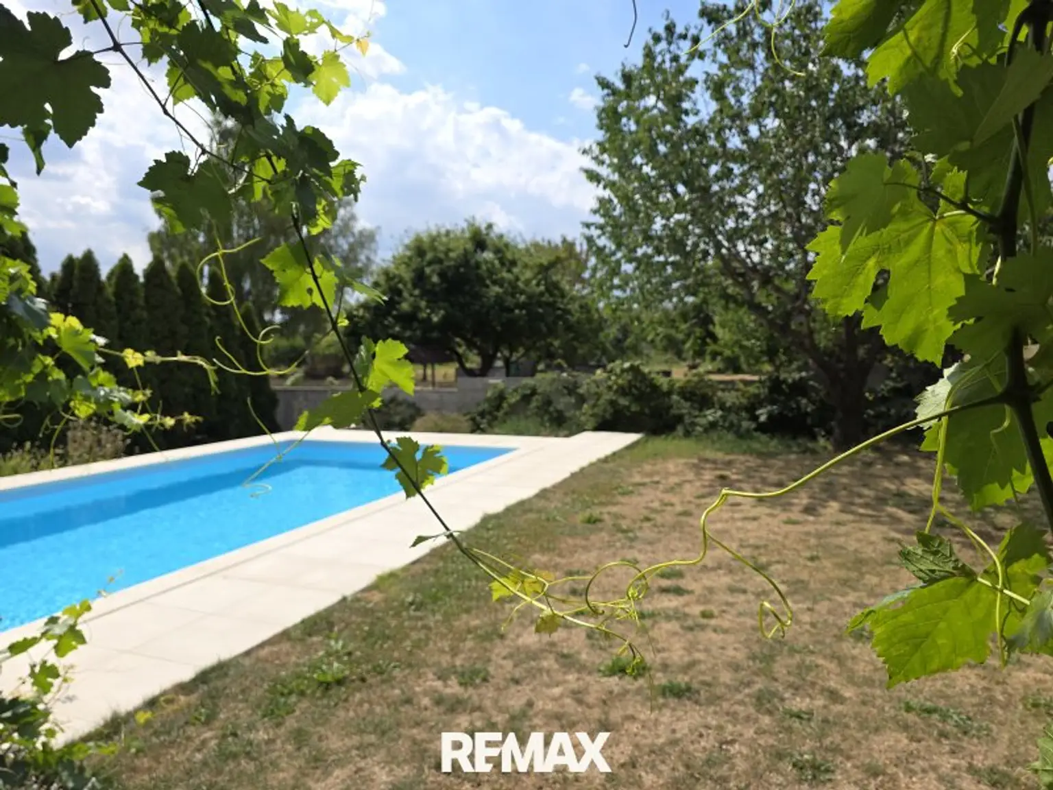 Garten mit Pool