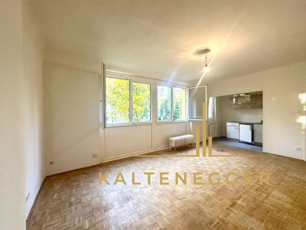 Helle 1-Zimmer Wohnung nahe Zentrum