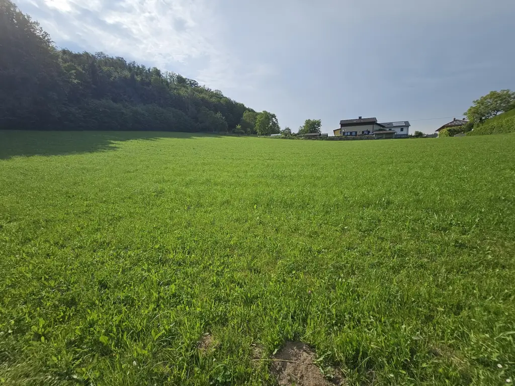 Großzügiges Grundstücksareal für Investoren, Bauträger, privaten Wohnbau