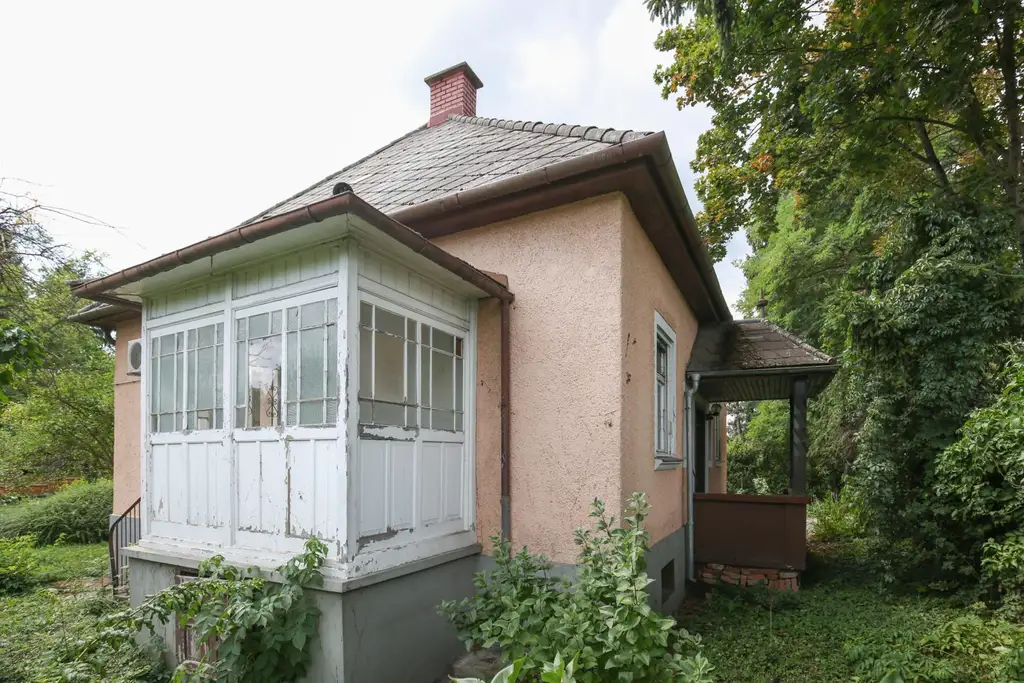 Gartentraum in Stadtlage: Sonnenplatz mit Obstgarten wartet auf frischen Wind