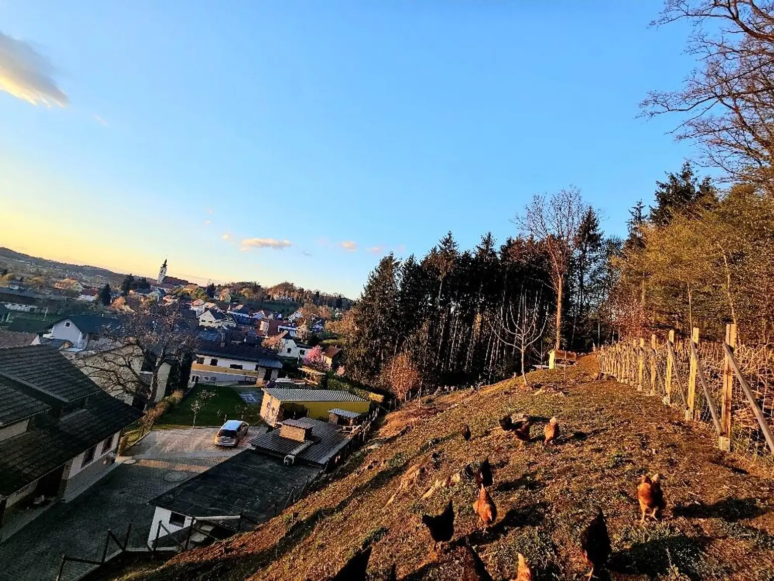 **Traumhaftes Mehrfamilienhaus im Grünen – Landleben pur!**