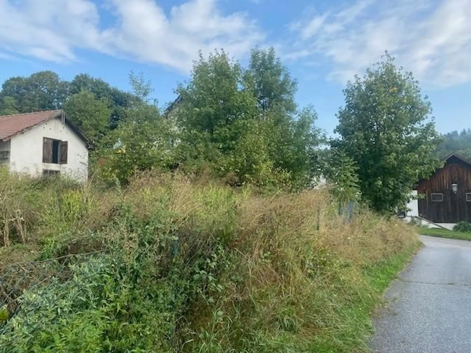 Handwerkerkönig gesucht! Abbruchobjekt, Bauland, Wiese und Wald!