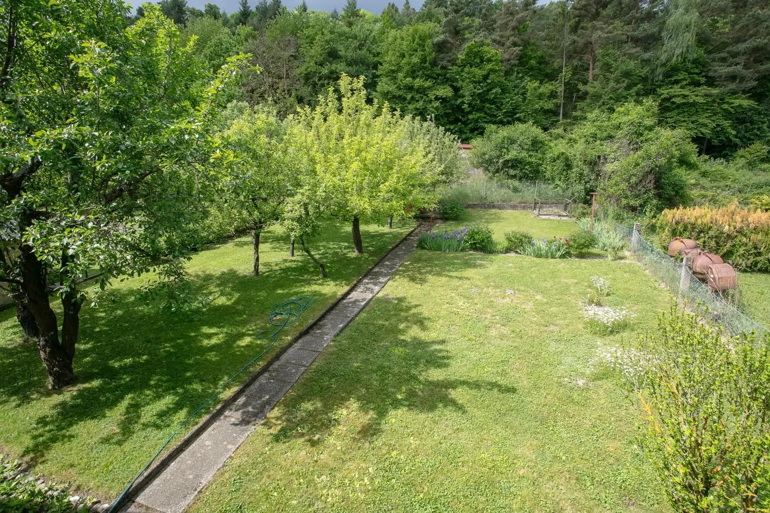 Blick in den Garten