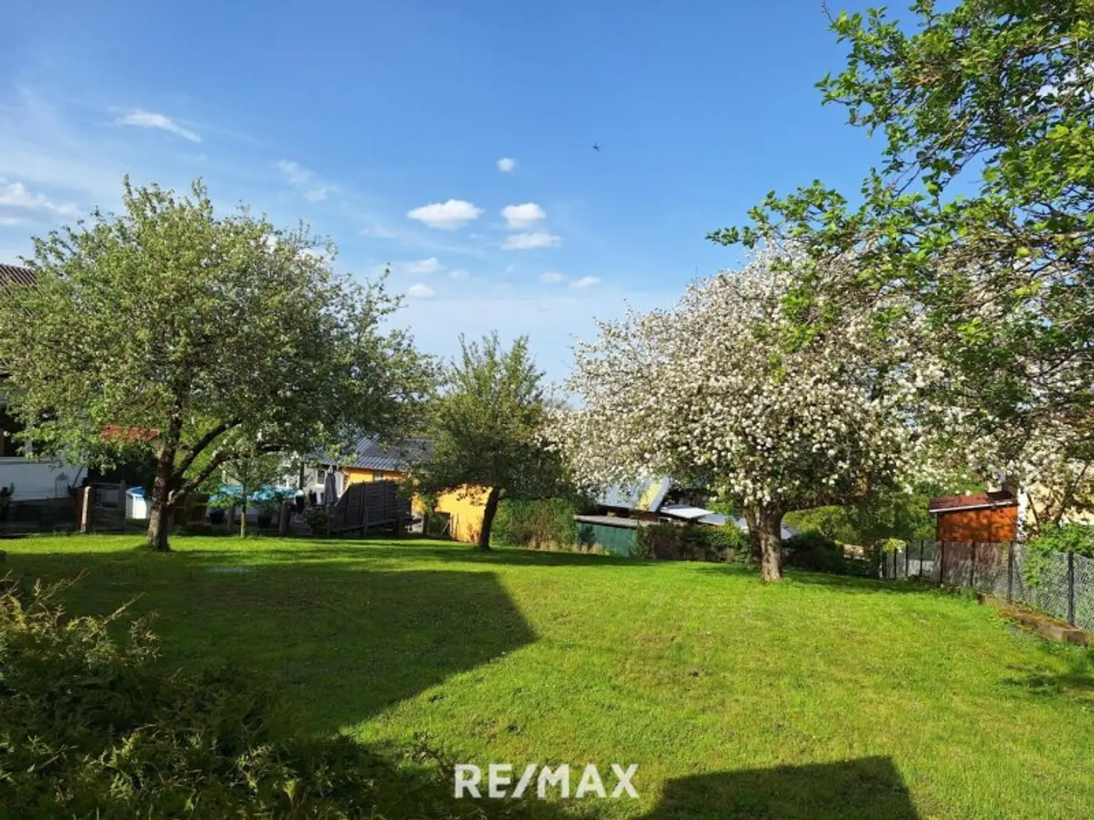 Grund mit altem Baumbestand