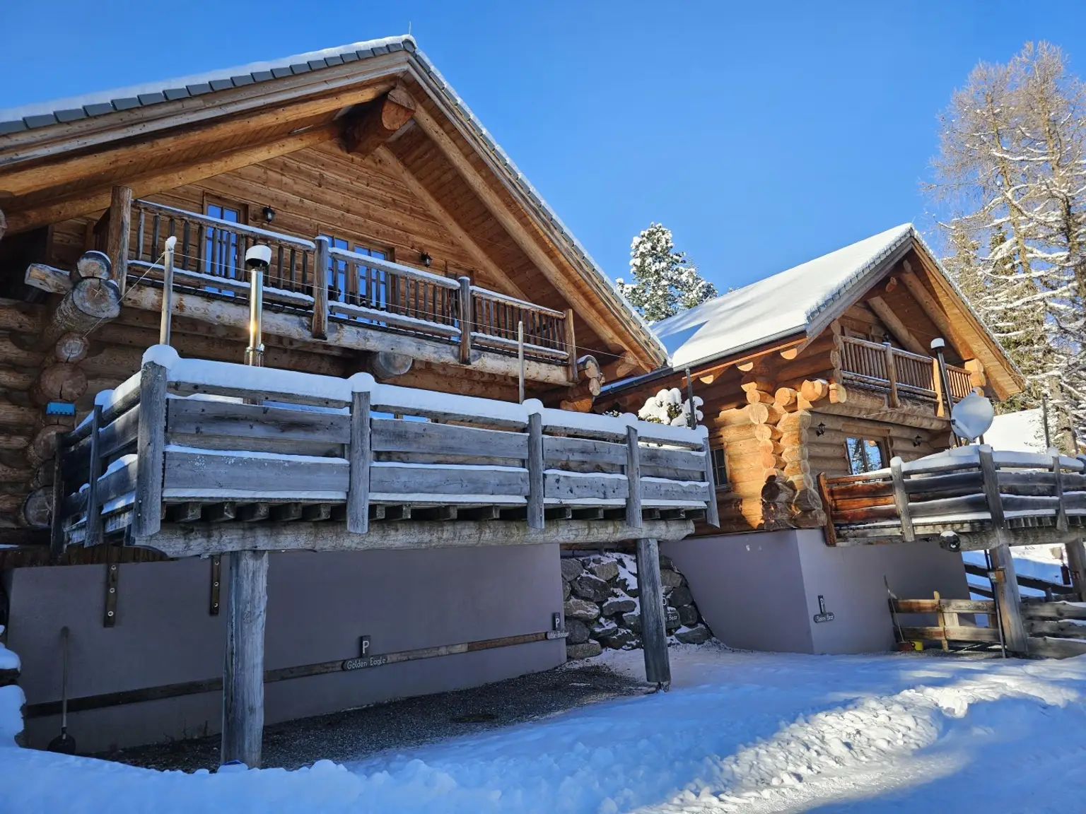 Golden Eagle & Sleepy Bear