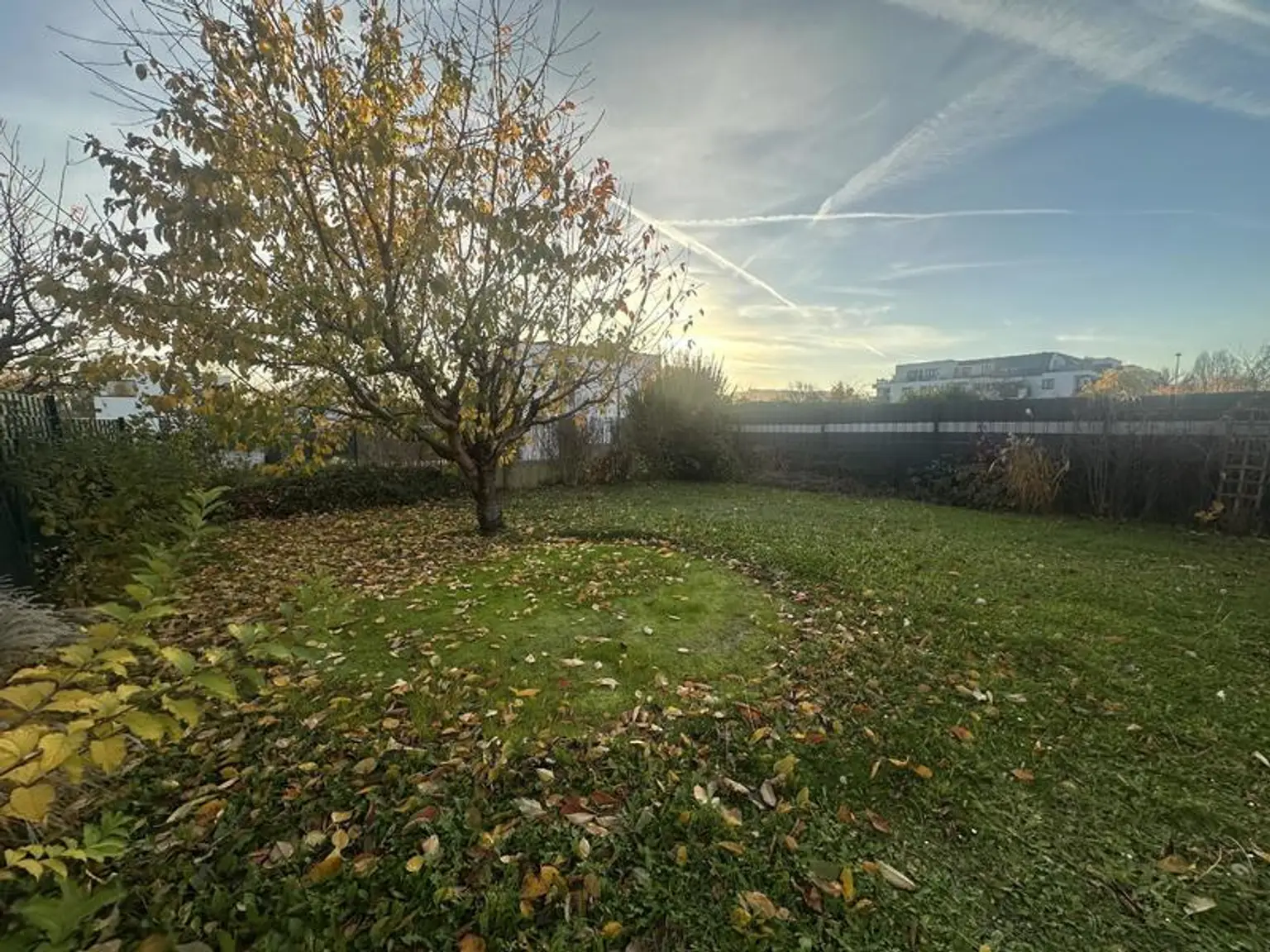 Kleingartenwohnhaus in Floridsdorf