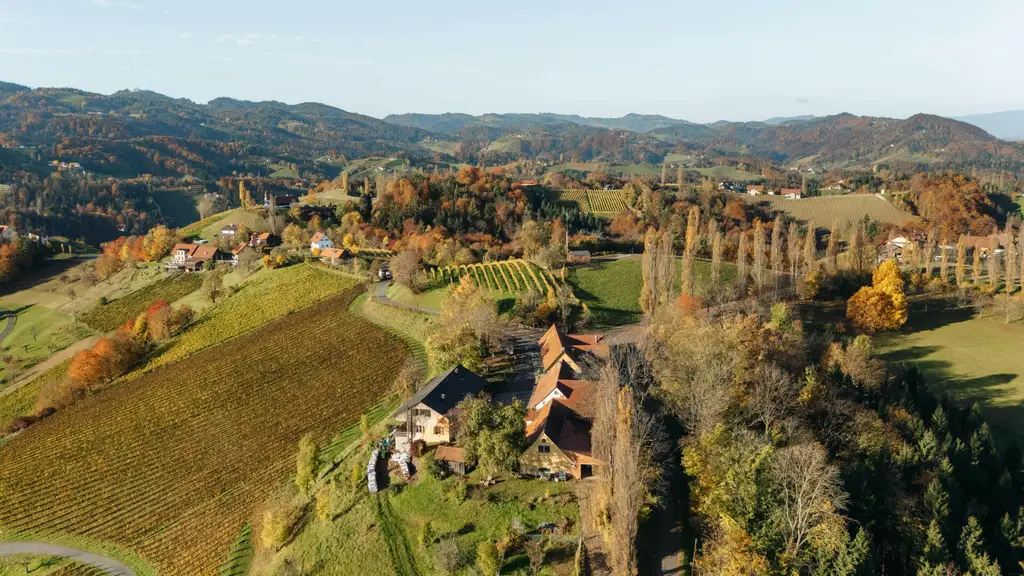 Buschenschank/Heuriger Eory zum Traubenkogel zu verkaufen!