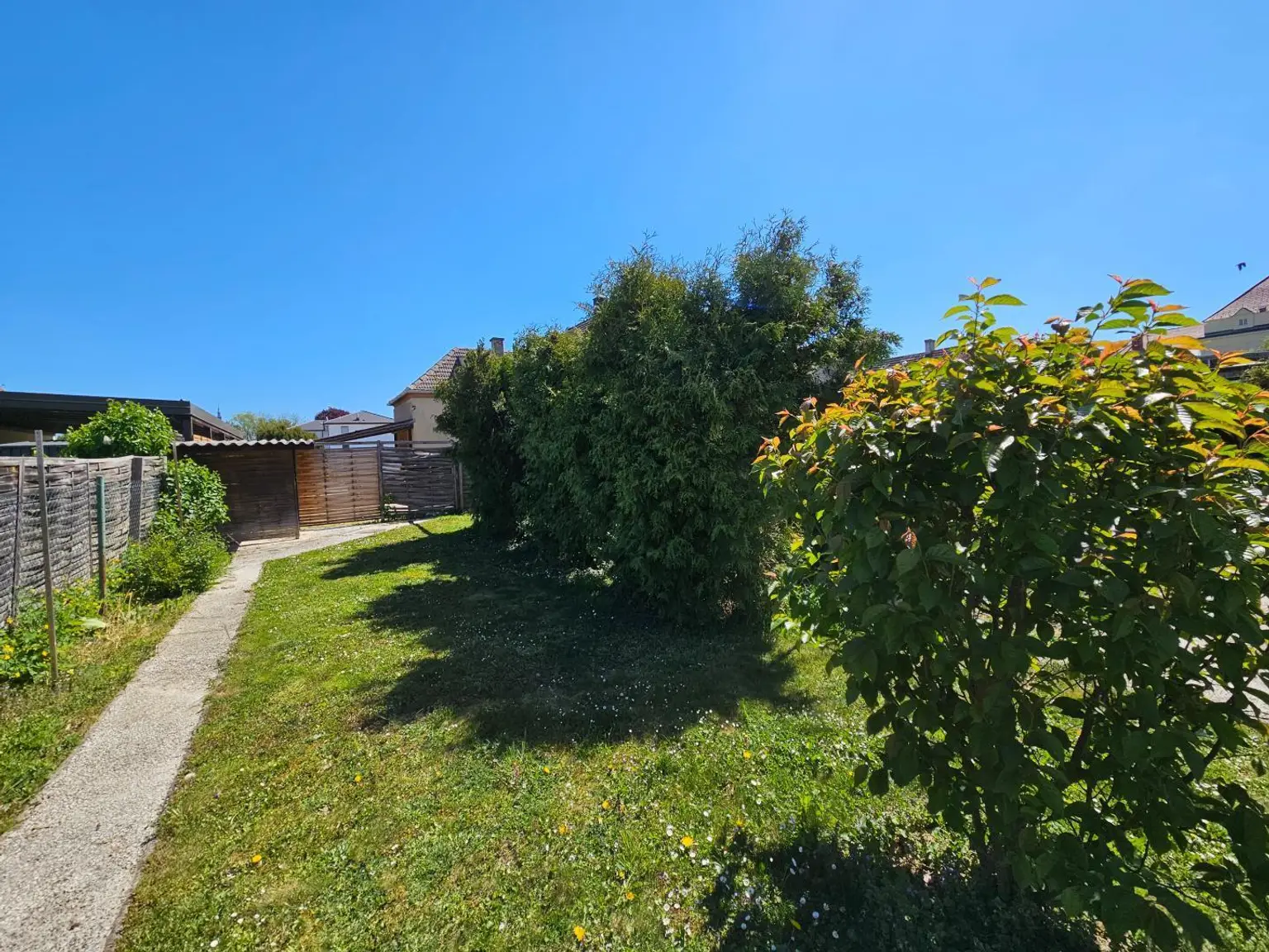 Garten (4)