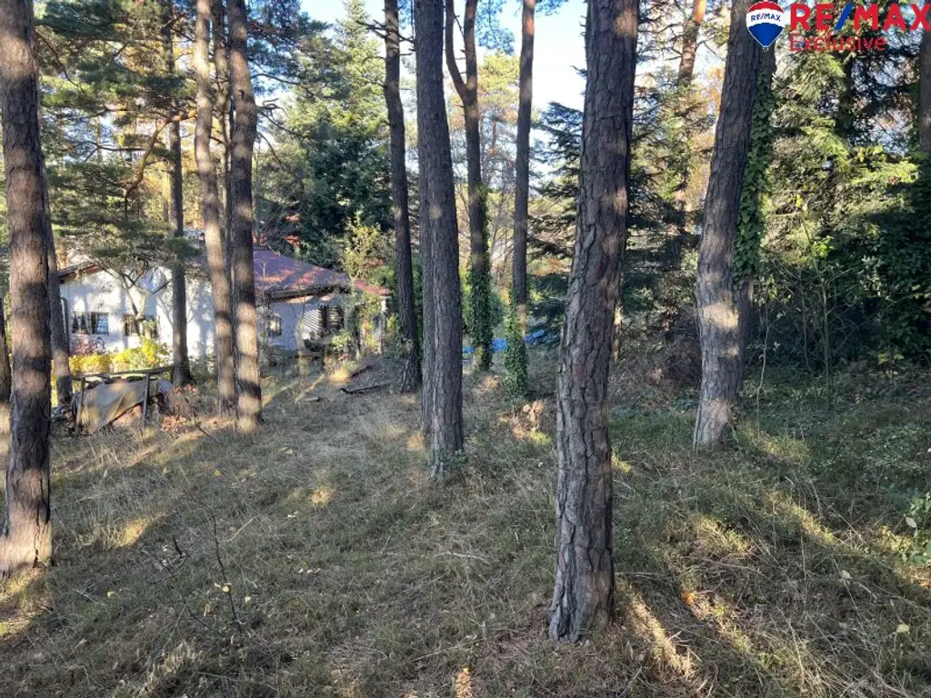 Klein und fein in der Buckligen Welt! Kleines Haus auf fast 2000m2!