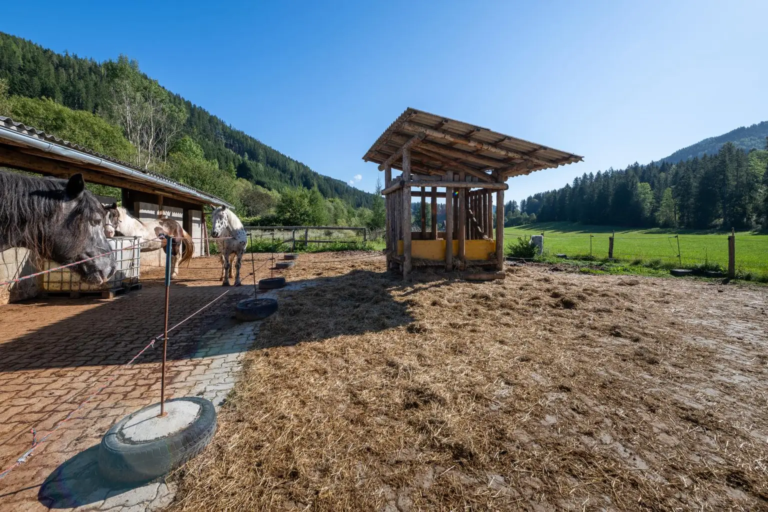 Paddock mit Heuraufe