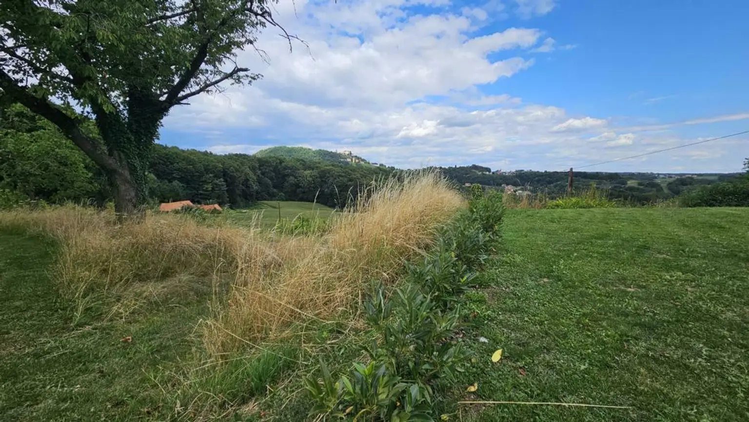 ** Geschmackvolles Zweifamilienwohnhaus - ca. 19ha LW-Fläche mit Wald ** unvergleichbarer Panoramablick auf Schloss Kapfenstein und das steirische Hügelland **