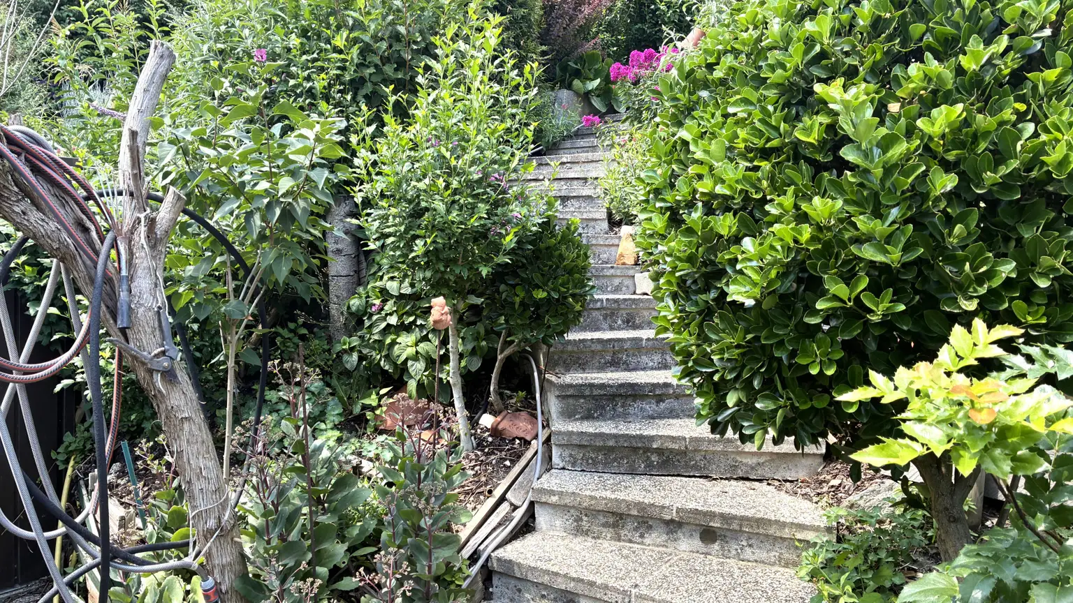 Stiege Terassengarten