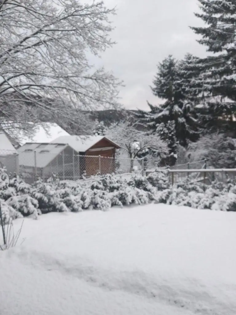 8 Winterimpression ETW 3004