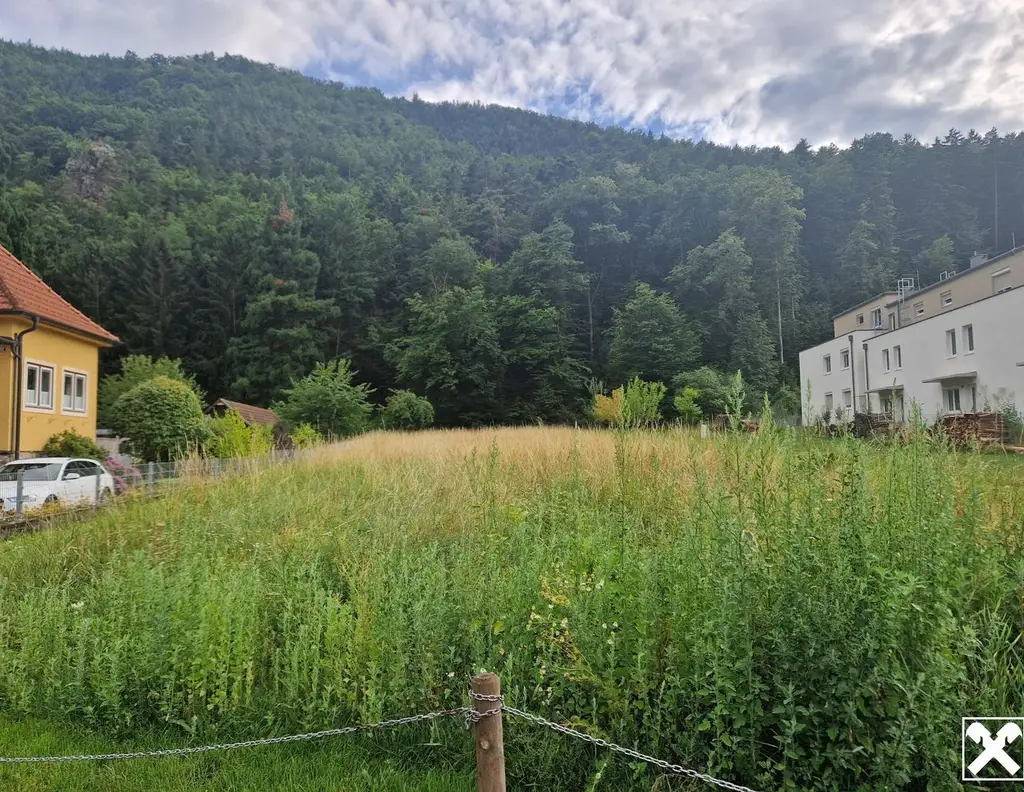 EINE SELTENE GELEGENHEIT: BAUGRUNDSTÜCK MIT EIGENEM WALD MIT HERRLICHEM AUSBLICK DIREKT AM WASSER