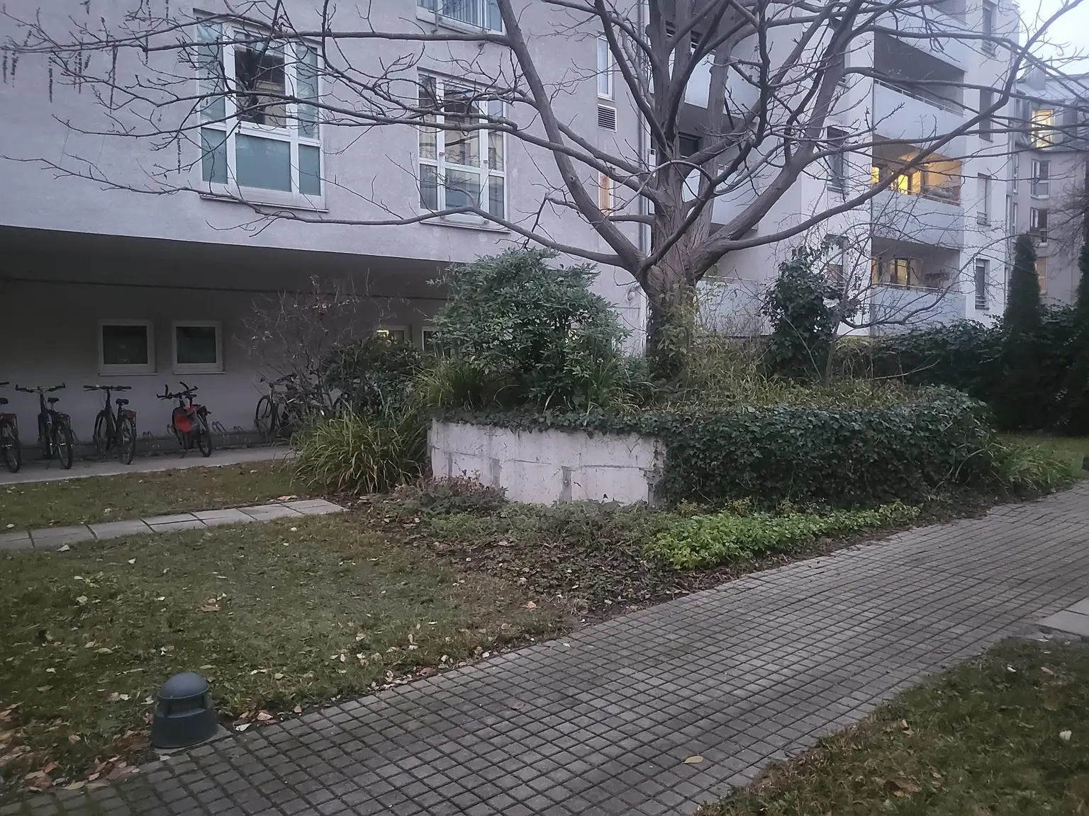 Gemeinschaftsgarten im Innenhof II