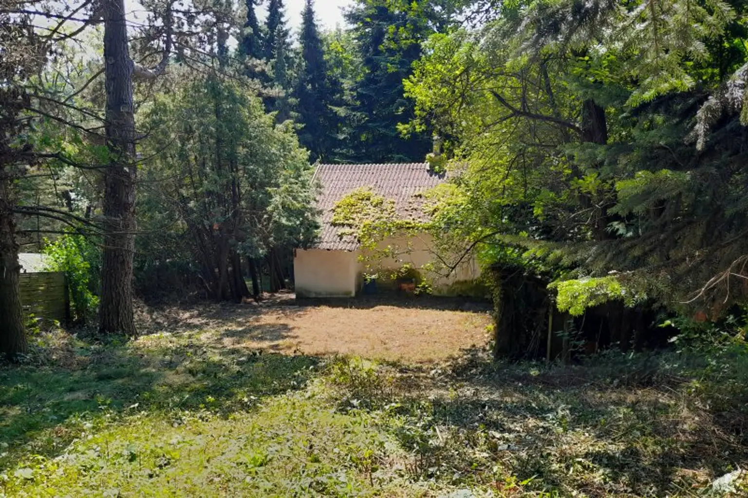 Großzügiges Baugrundstück mit Abbruchhaus und Grünlandanteil im Irenental