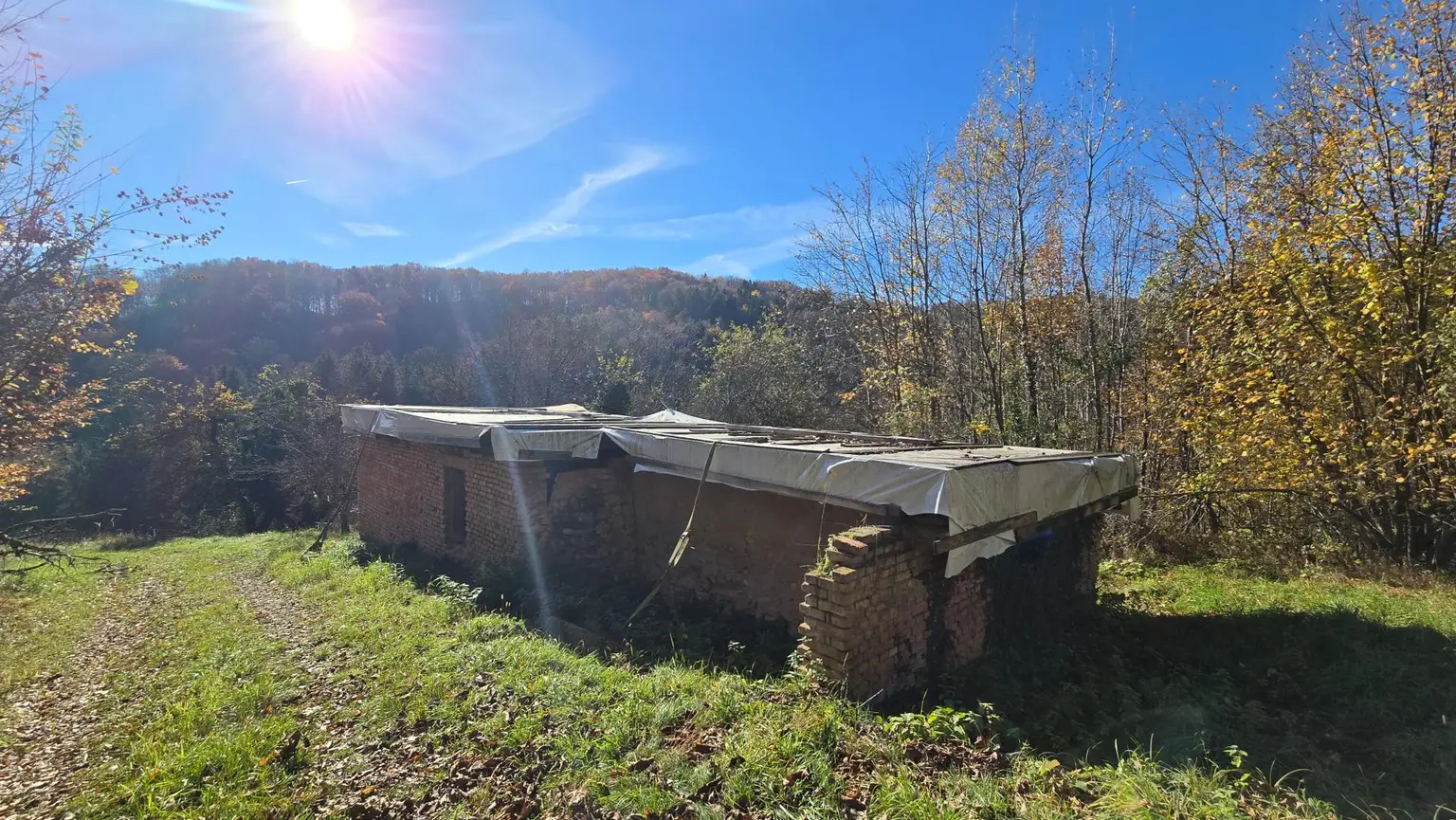 Weingarten mit Landwirtschaft und Altbestand in Kranach, Gemeinde Gamlitz