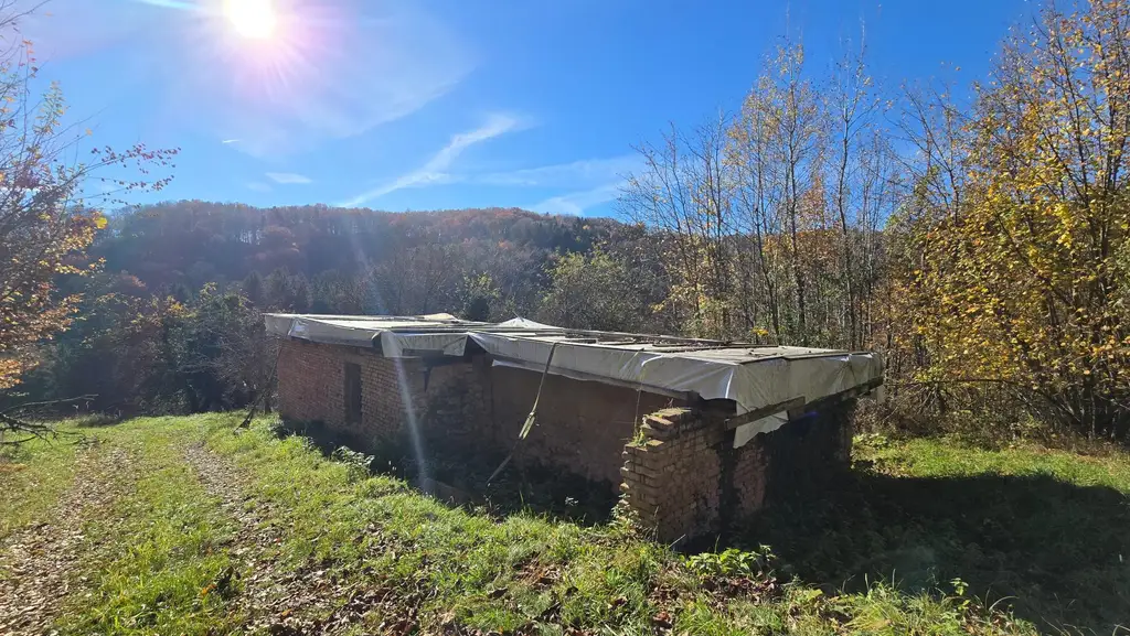 Weingarten mit Landwirtschaft und Altbestand in Kranach, Gemeinde Gamlitz