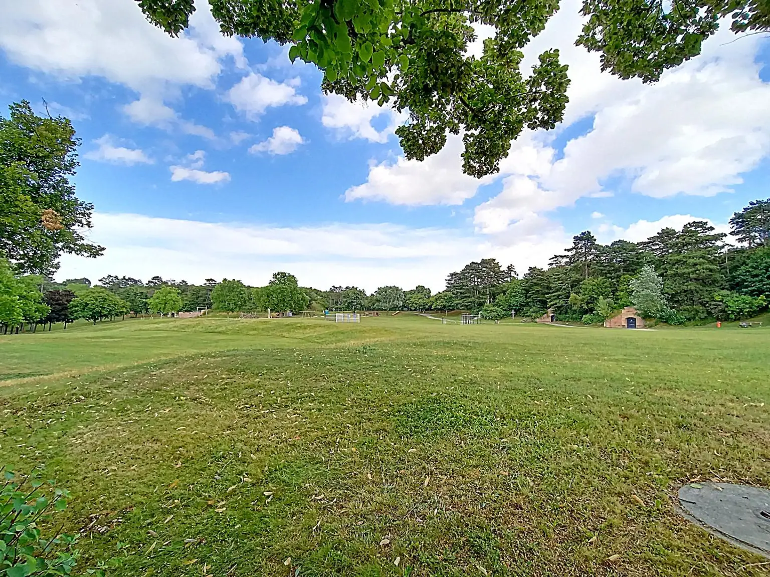 Panoramablick beim Park - großzügige 3-Zimmer Wohnung in Bestlage:  grün, ruhig, hell!