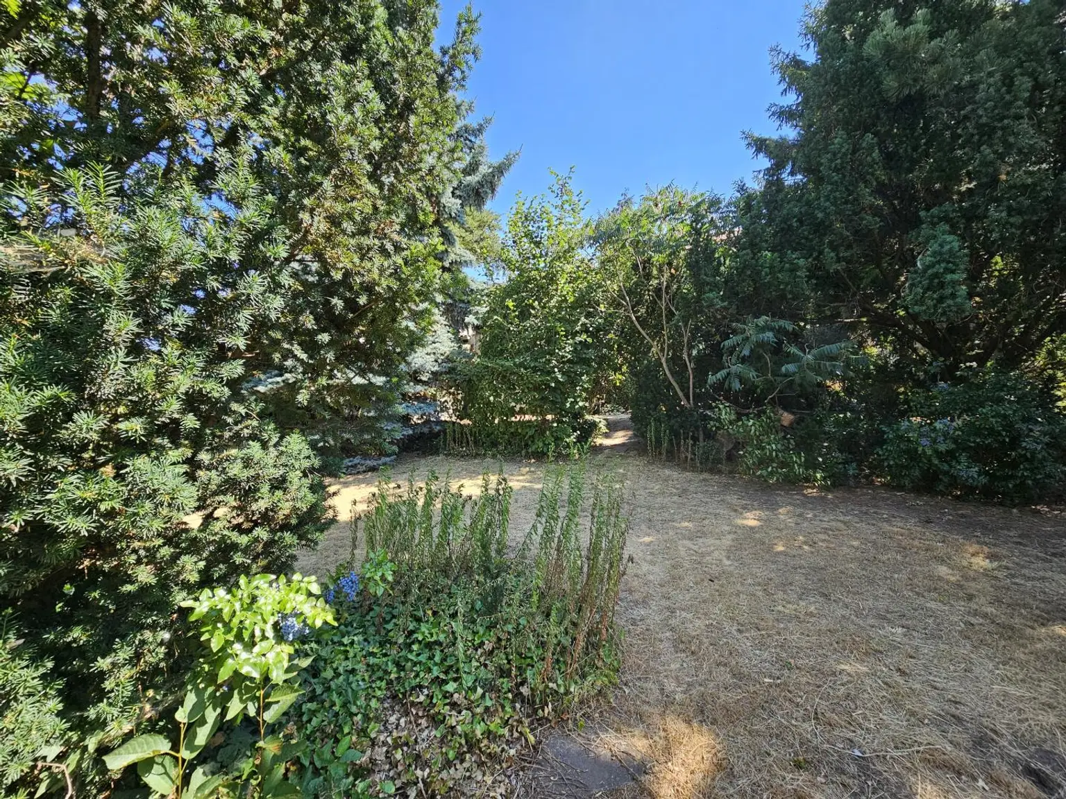 Garten (7)