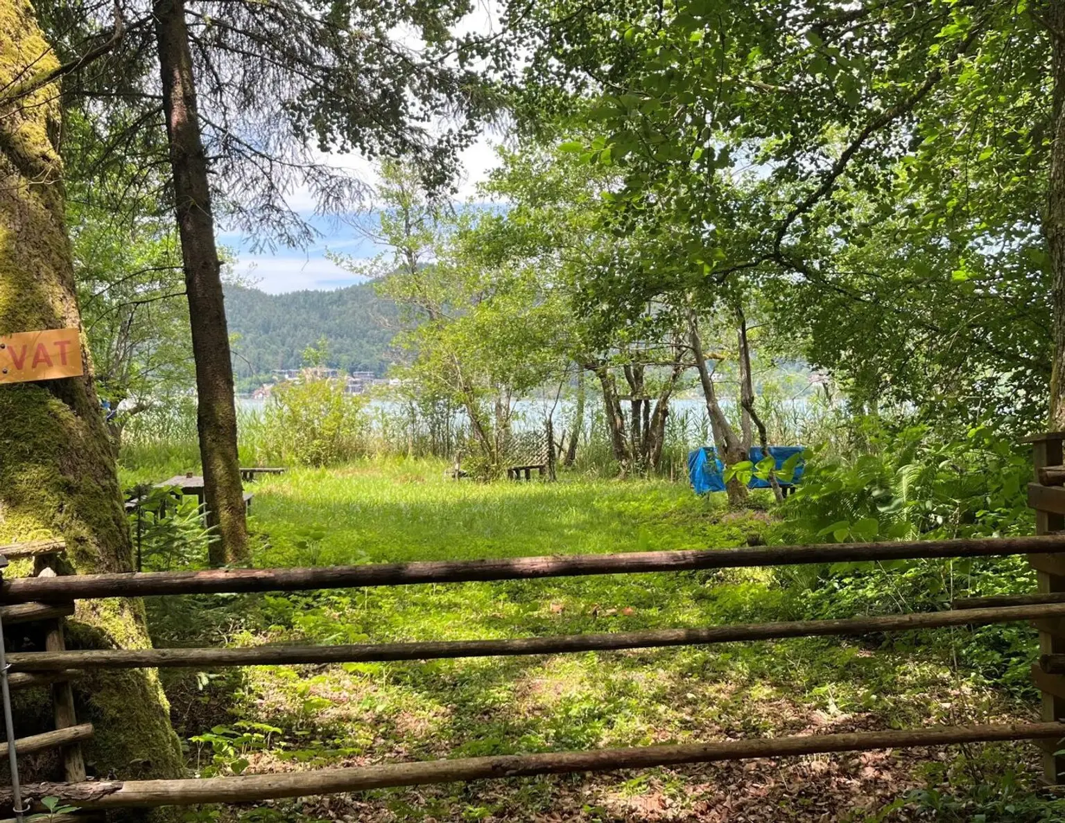Natur pur am Keutschacher See