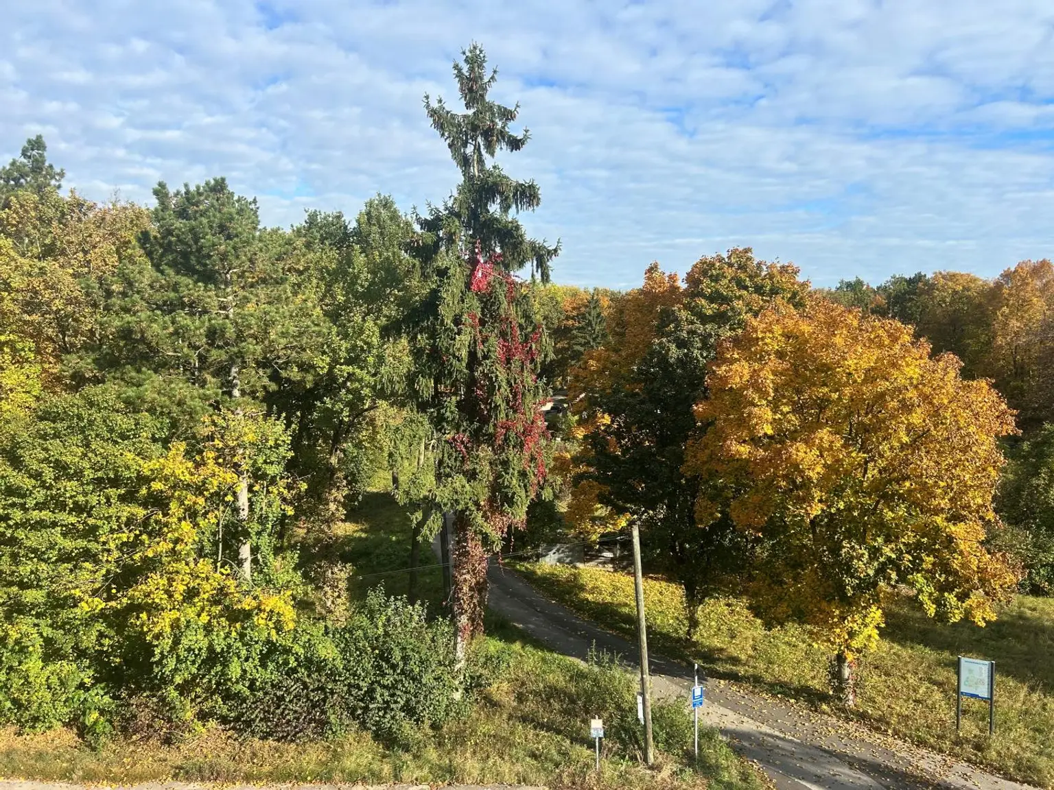 Großzügige 5 Zimmerwohnung inkl. Loggia und Garagenstellplatz