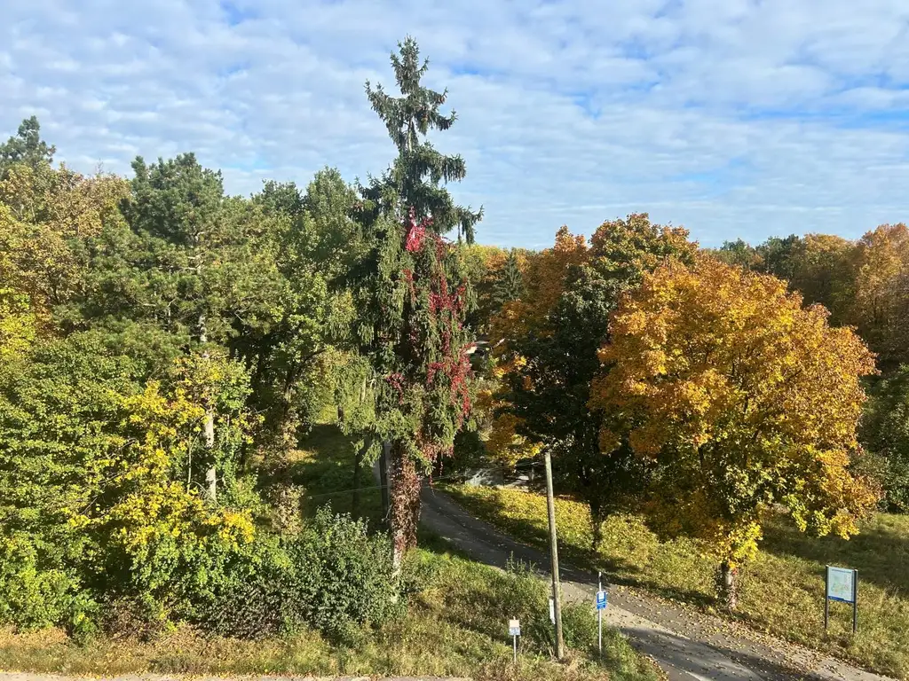 Großzügige 5 Zimmerwohnung inkl. Loggia und Garagenstellplatz