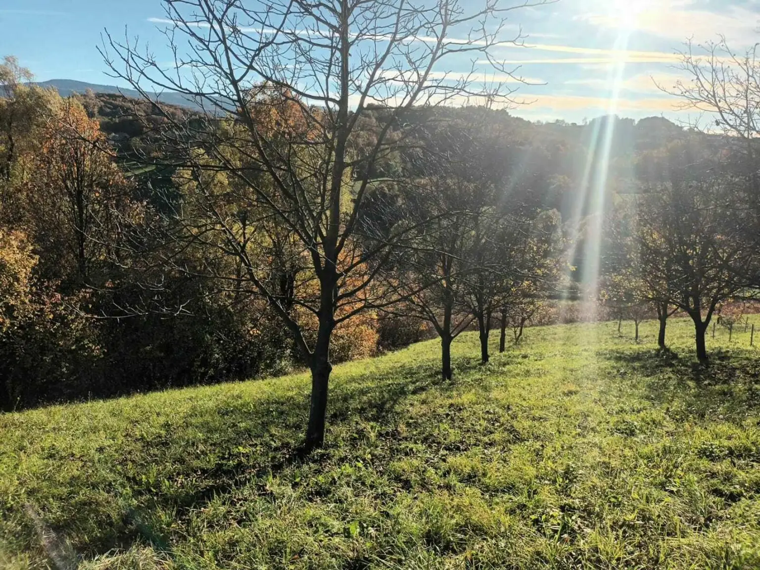 Zentral-Kroatien: Wunderschön gelegenes und großes Tiny Haus Grundstück