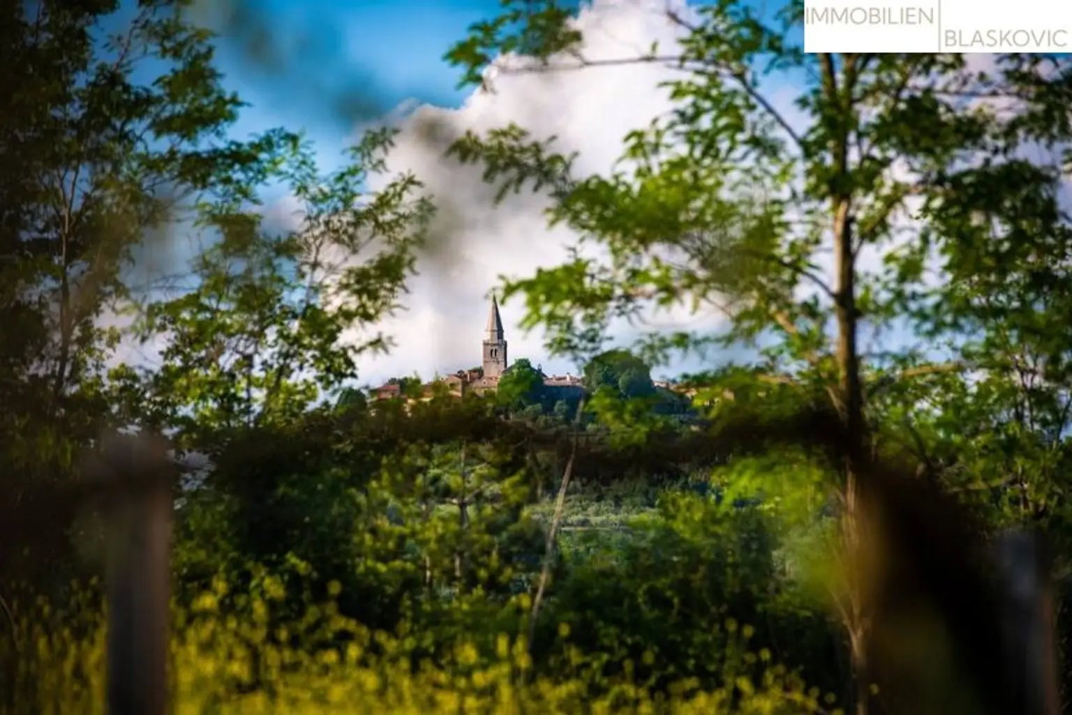 Charmante Villa im Grünen mit fabelhafter Aussicht in die Natur