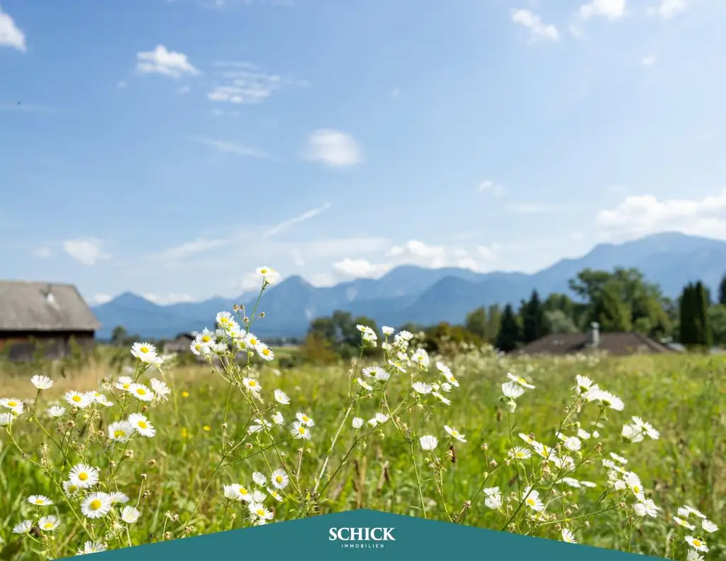 Unser Traum im Grünen