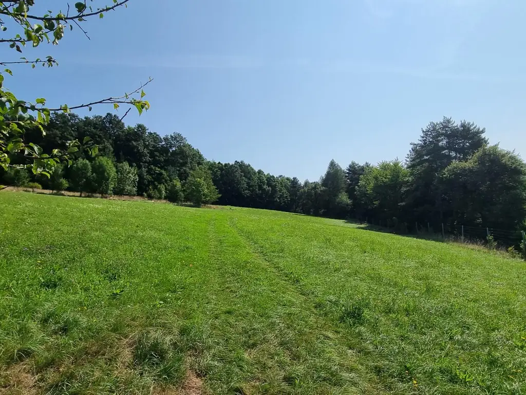LANDWIRTSCHAFT VOR DEN TOREN WIENS