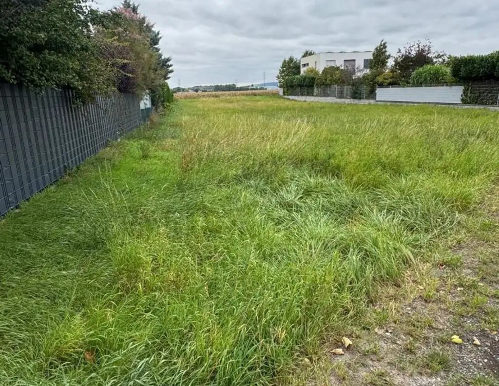 TOP ! KORNEUBURG - Grundstücke in verschiedenen Größen in schöner Siedlungslage !