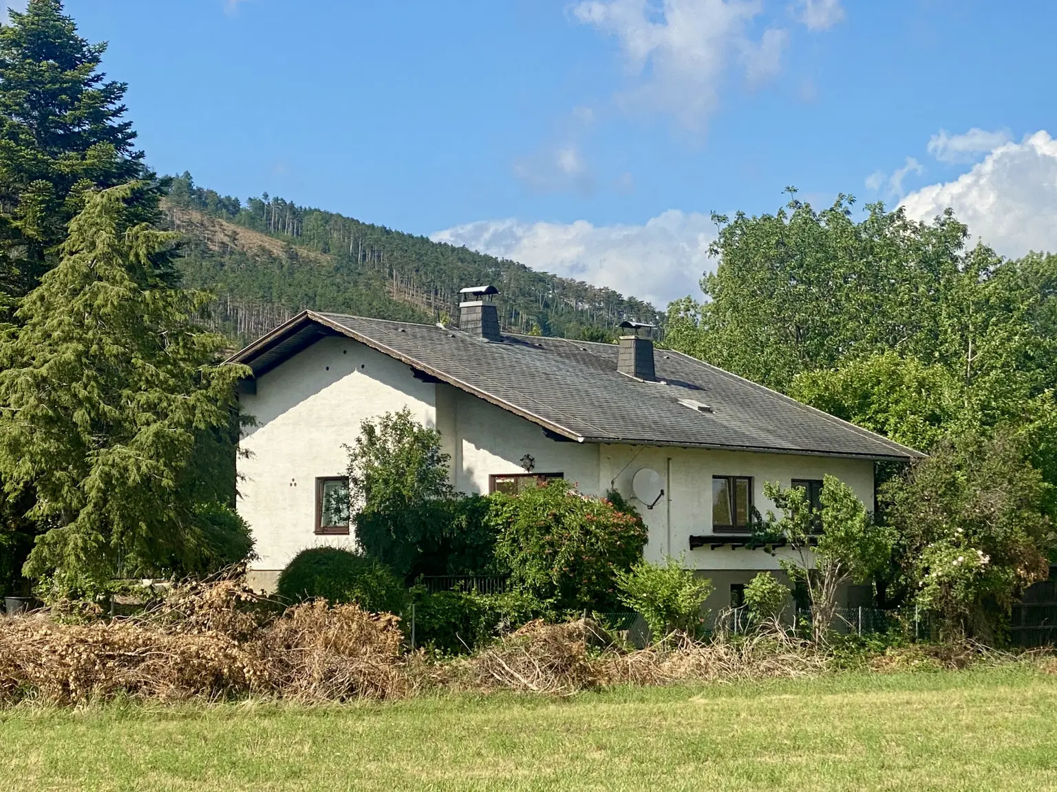 Ansicht