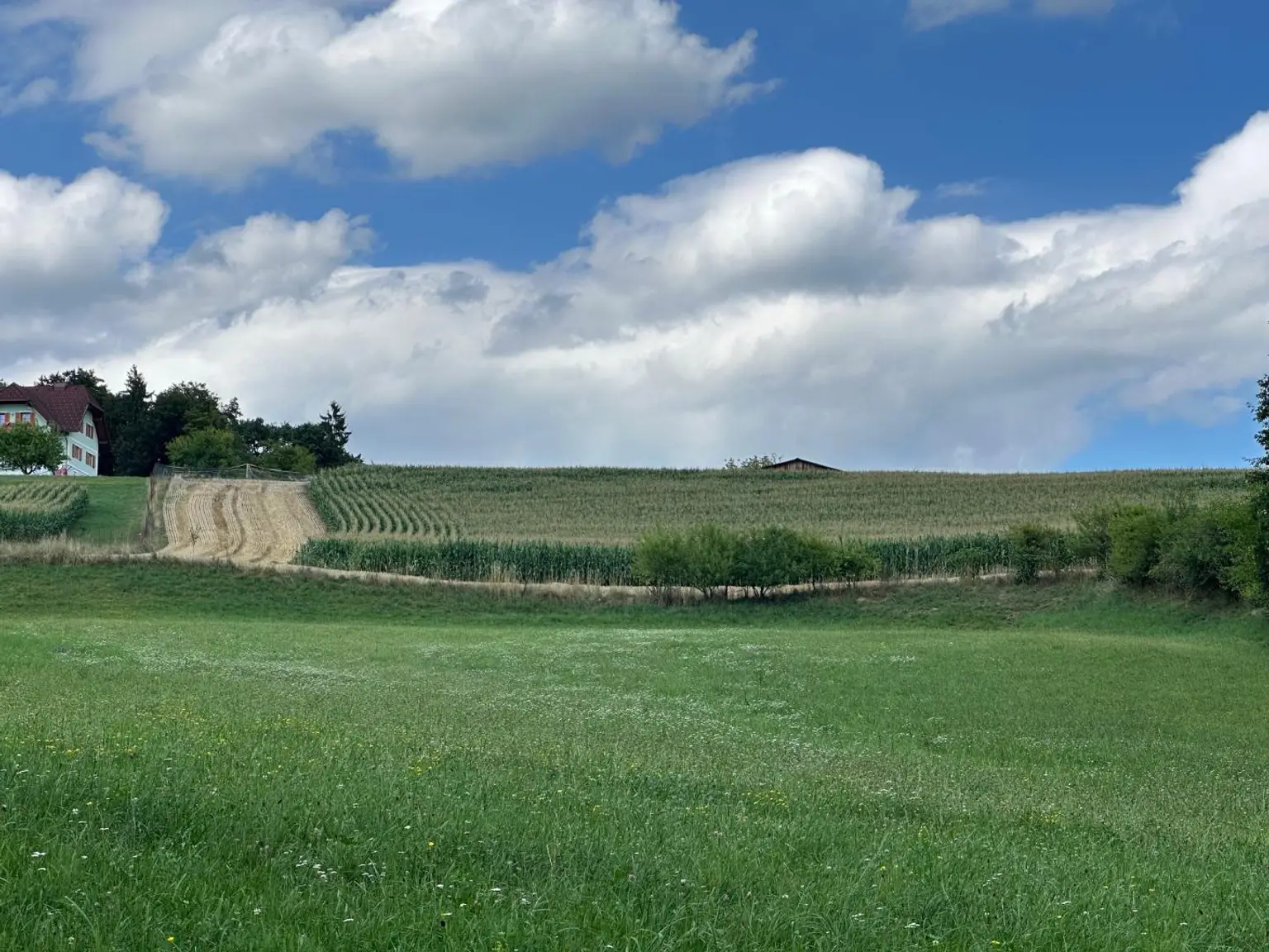 Natur Pur - Landwirtschaft mit Kellerstöckl