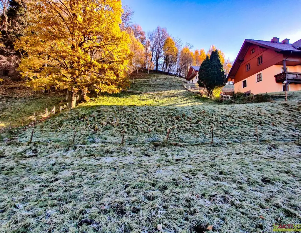 Wohnen in Ruhelage: Baugrundstück mit guter Infrastruktur in Niederöblarn.
