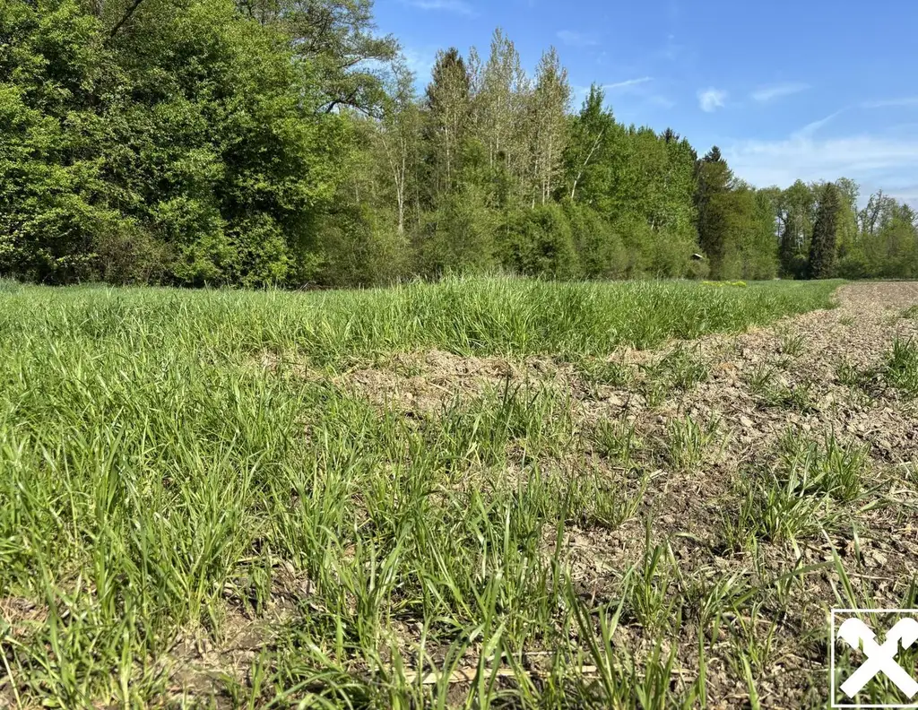 Landwirtschaftliche Fläche mit Waldanteil und guter Erreichbarkeit
