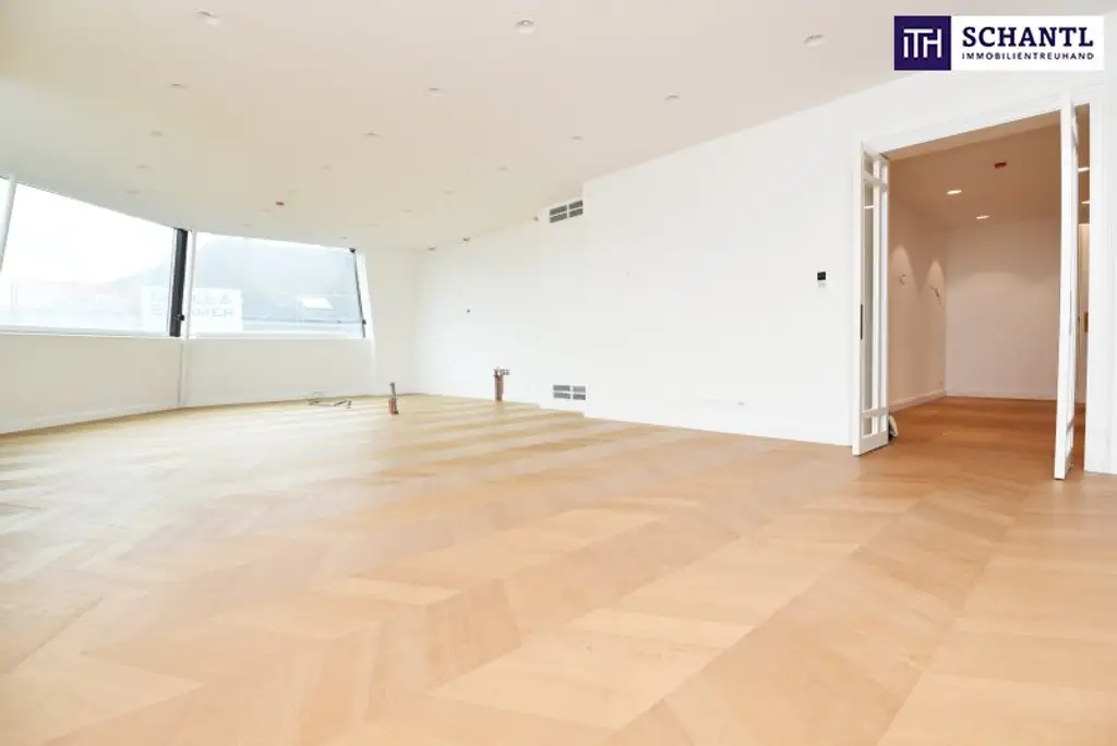 Palais der Superlative – 265m² Luxusresidenz im Herzen der Wiener Innenstadt